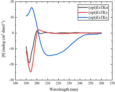 Directed Self-Assembly of Heterologously Expressed Hagfish EsTKα and EsTKγ for Functional Hydrogel